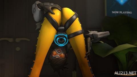 的榮光時刻 的榮光時刻